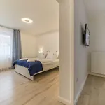 Draga Apartment *
